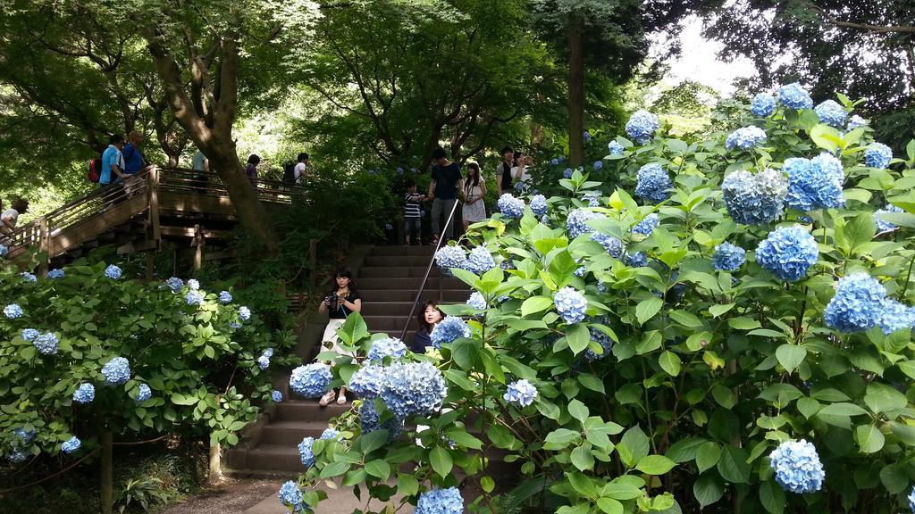 Enoshima Guest House 134 Fujisawa Exterior photo